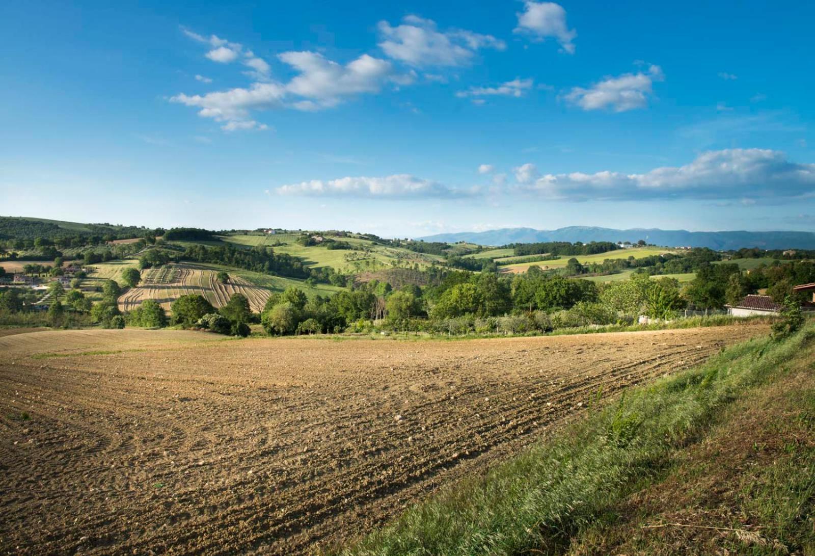 Agriturismo Piano Grande Avigliano Umbro Εξωτερικό φωτογραφία