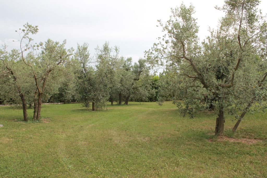 Agriturismo Piano Grande Avigliano Umbro Δωμάτιο φωτογραφία